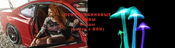 соль ск Вяземский