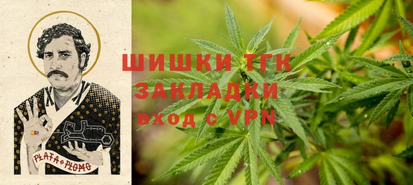 соль ск Вяземский