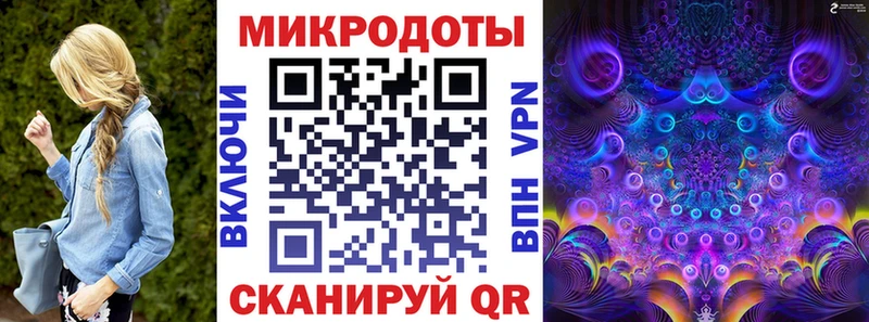 площадка какой сайт  Петухово  Псилоцибиновые грибы Psilocybe 
